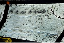 Photo Textures of Paint